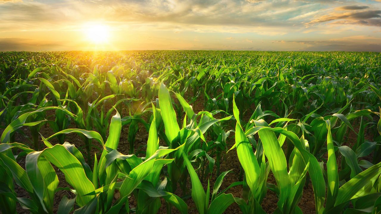 1280x720 Sustainability. INT. AGCO Parts & Service