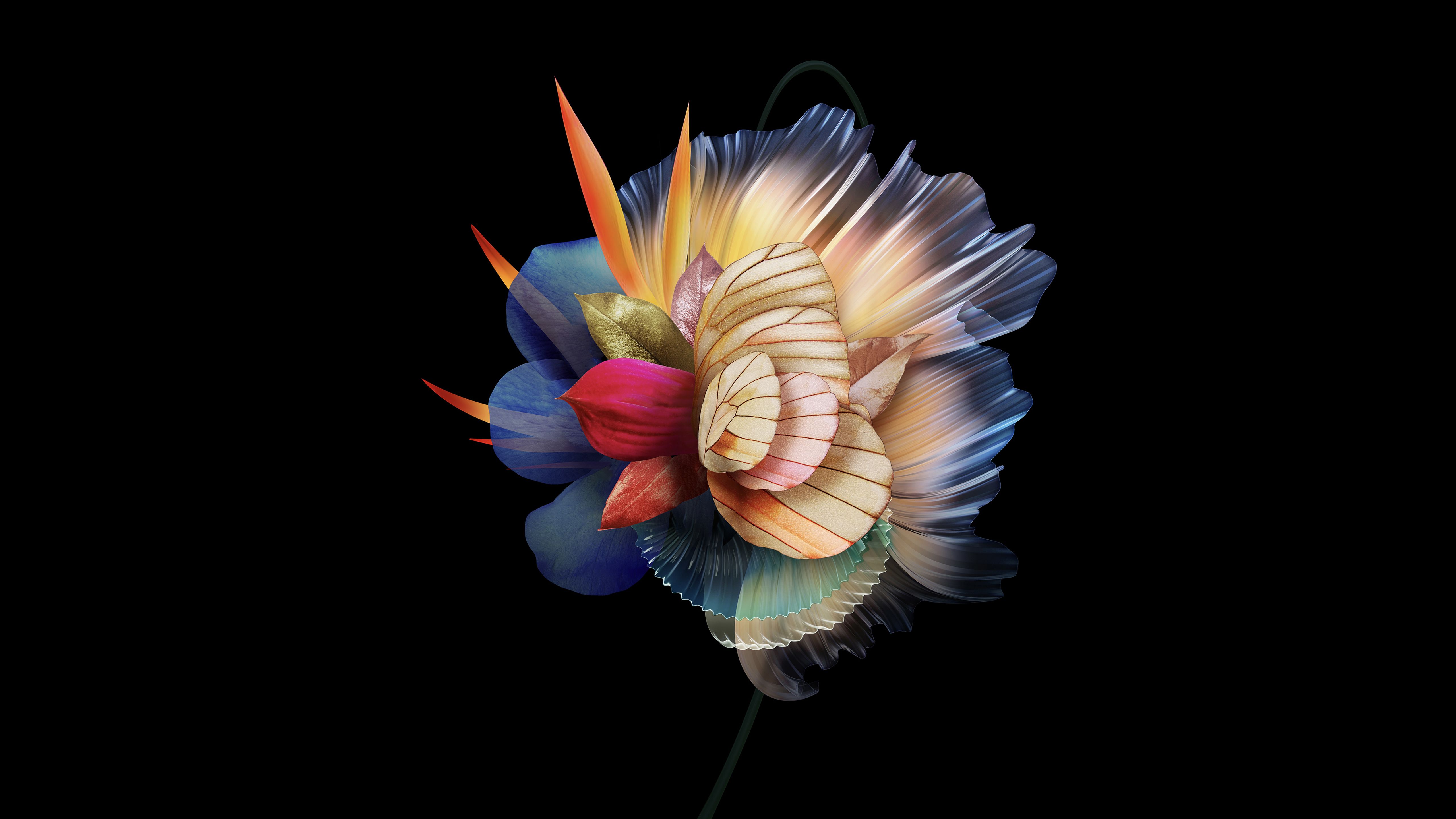 5120x2880 Abstract flower Wallpaper 4K, AMOLED, 5K, Multicolor