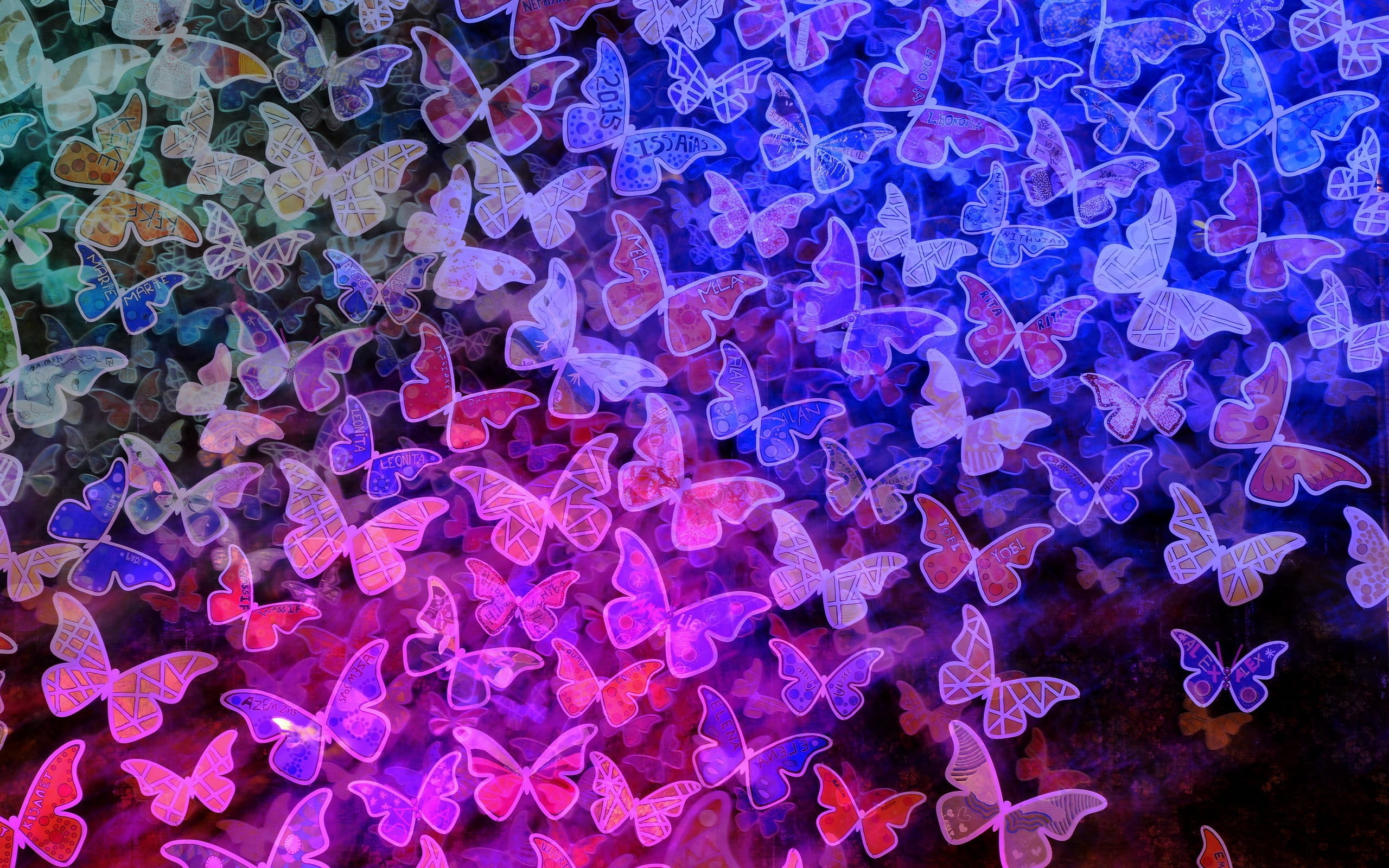 2560x1600 Purple And Pink Butterflies Illustration HD Wallpaper