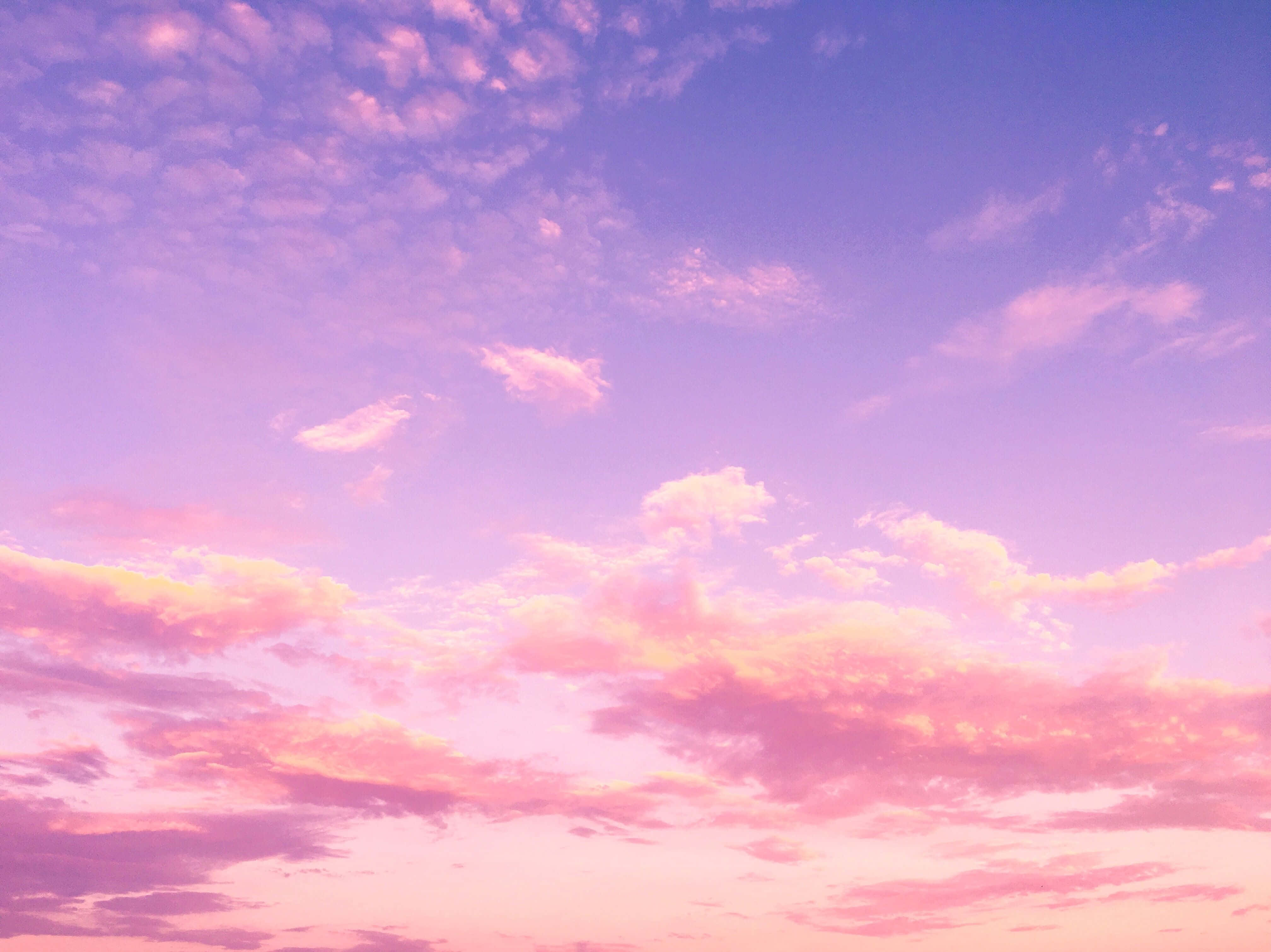4032x3021 Download Cute Anime Characters in a Pink Night Setting Background