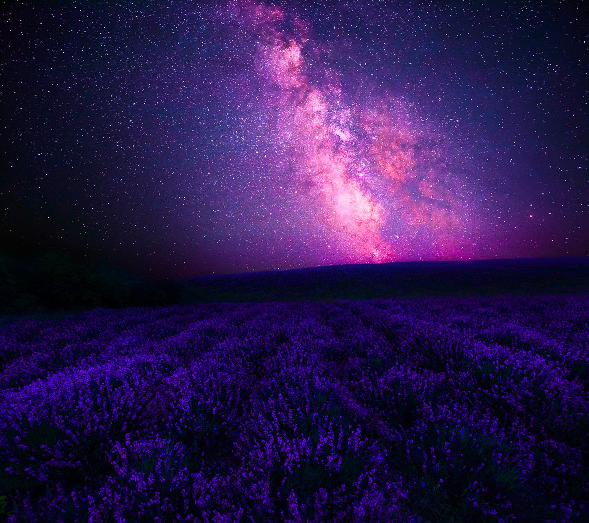 1920x1705 Enchanted Lavender Field Beneath a Purple Milky Way Sky Fantasy Starscapex1705