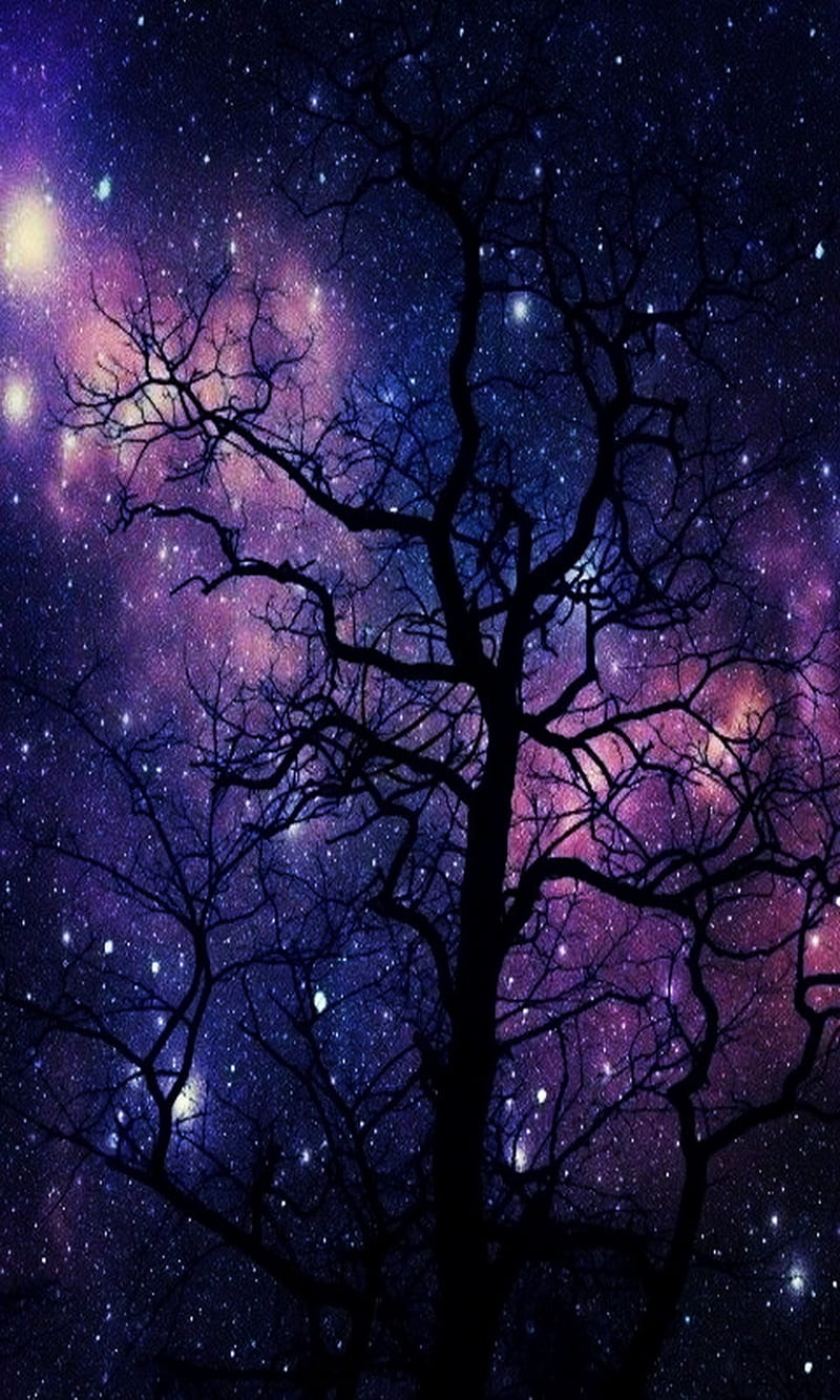 800x1333 Purple Sky, stars, trees, HD phone wallpaper