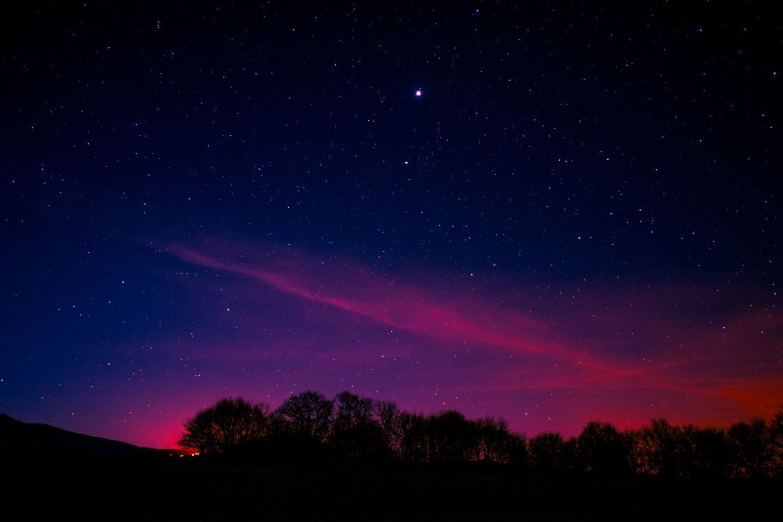 1125x750 Wallpaper Silhouette of Trees Under Purple Sky, Background Free Image