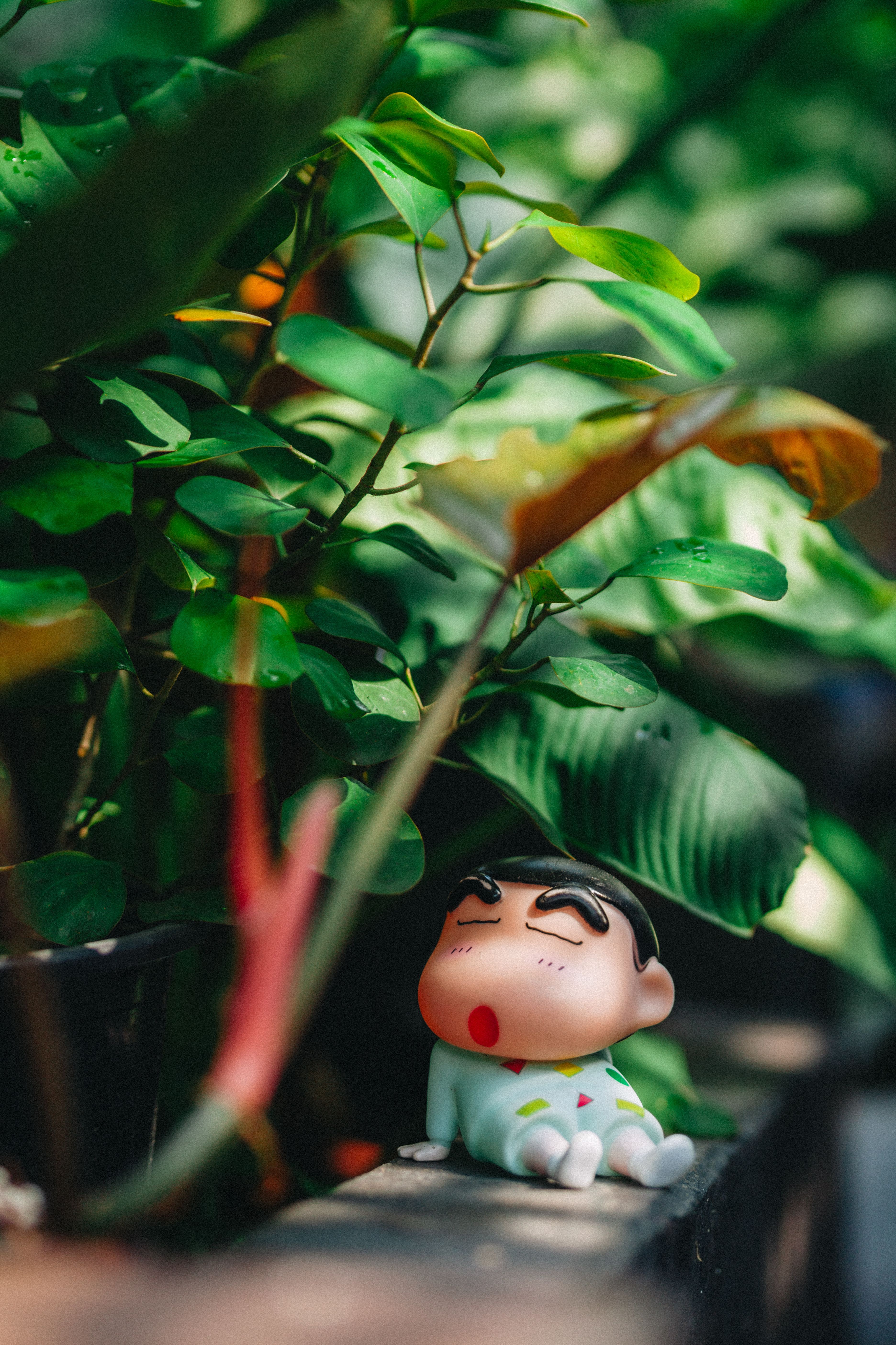 3744x5616 Shin Chan Photo, Download The BEST Free Shin Chan & HD Image