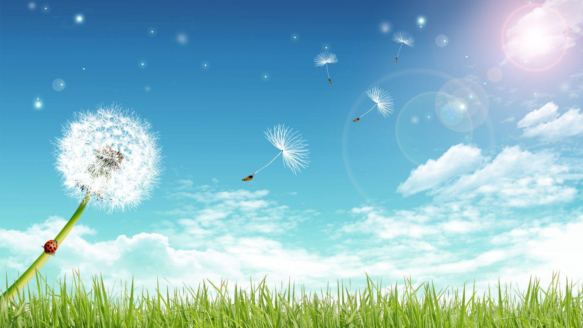 1920x1080 Dandelion Design Wallpaper Sky Computer Background Blue Fly Creative Ideas Digital Cartoon Under 1379611