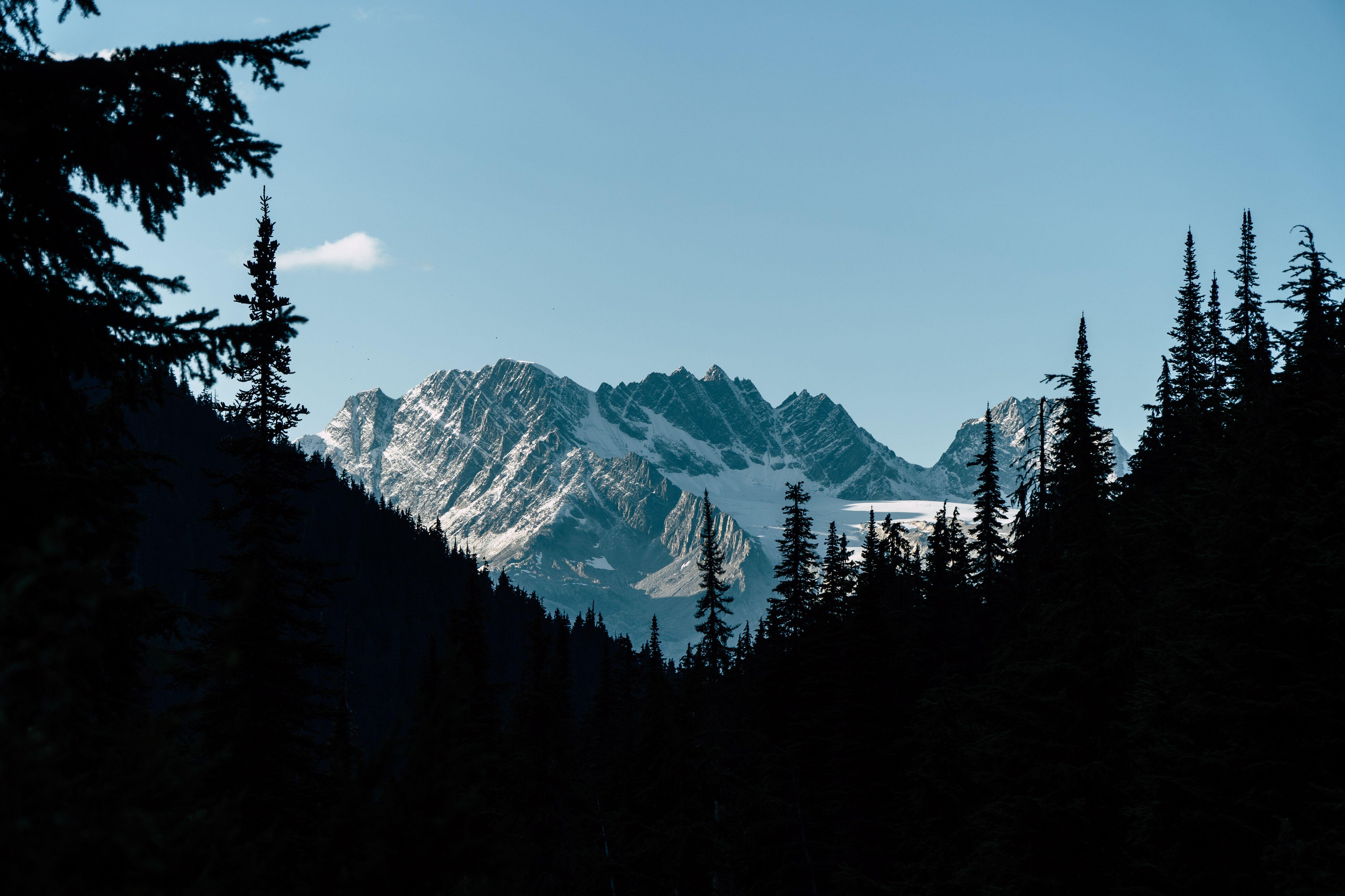 6000x4000 Download wallpaper 6000x4000 mountains, forest, shadow, contrast, dark HD background
