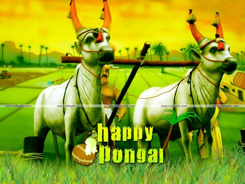 1024x768 Mattu Pongal Wallpaper