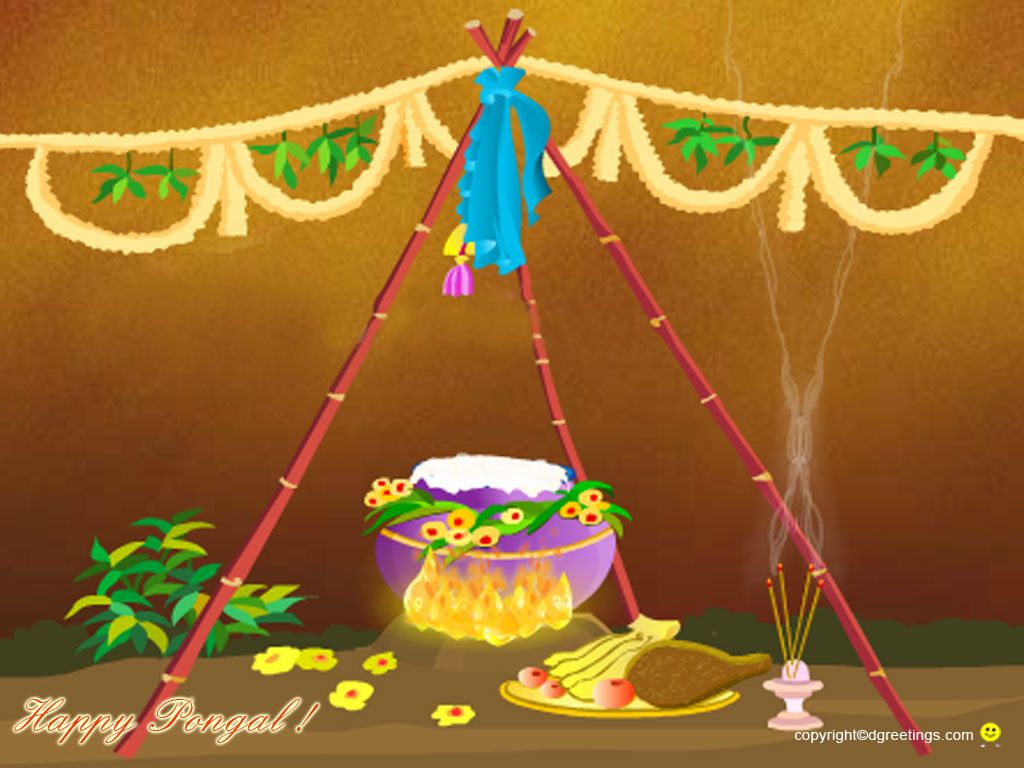 1024x768 mattu pongal