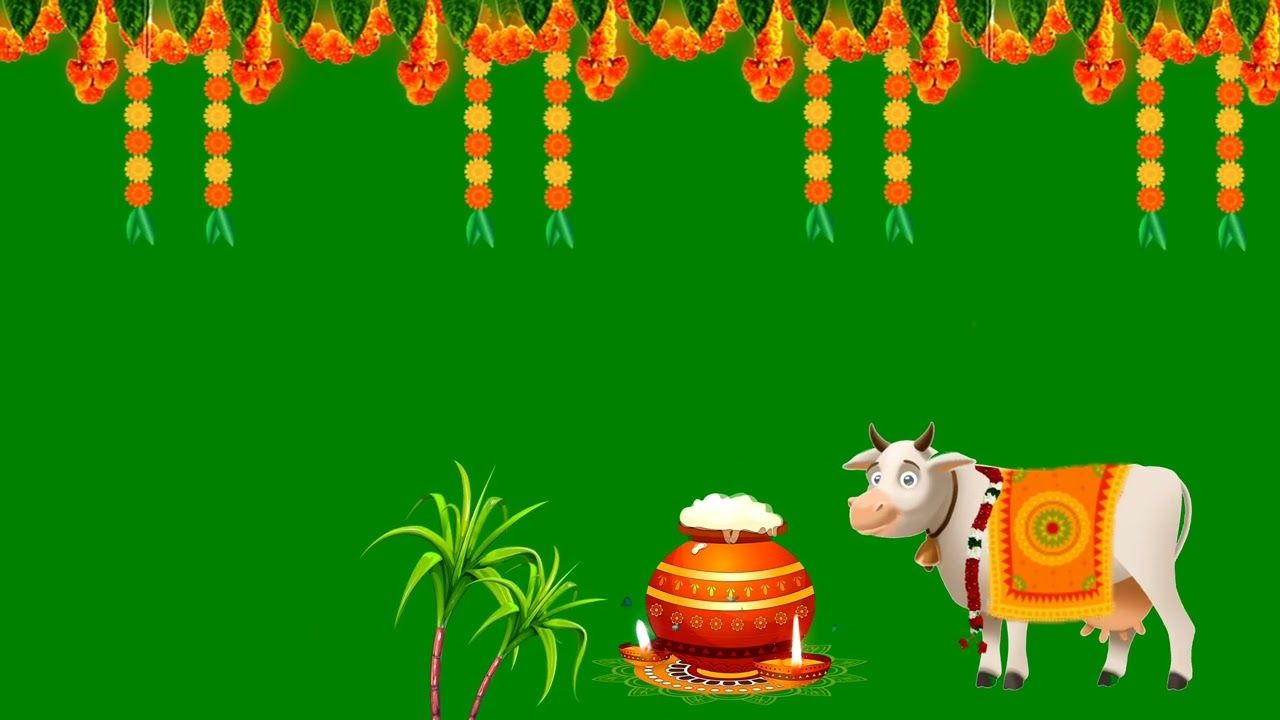 1280x720 Mattu pongal green screen. pongalk. @shahulgreenscreen