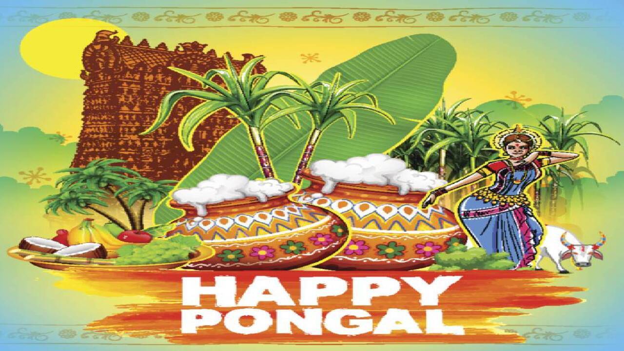 1280x720 Happy Pongal 2026: Image, Wishes, Messages, Quotes, Cards, Greetings, Picture, GIFs and Wallpaper Times of India