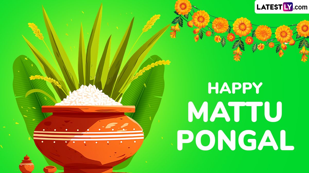 1200x675 Happy Mattu Pongal 2025 Greetings and HD Image for Free Download Online: Celebrate the Third Day of Pongal Festival With Wishes, Messages and Wallpaper