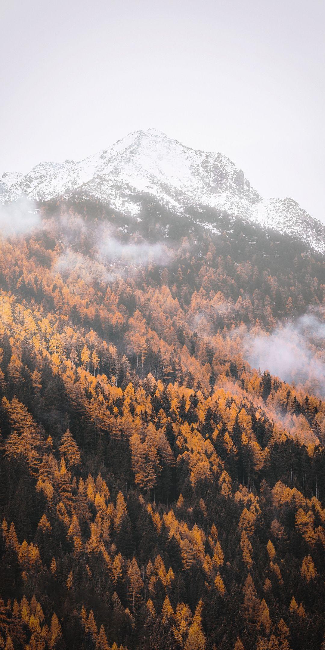 1080x2160 Aesthetic Mountains Wallpaper