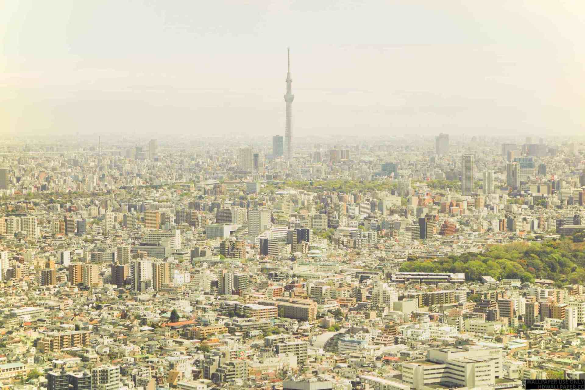 Ikebukuro Wallpapers - Top Free Ikebukuro Backgrounds - WallpaperAccess