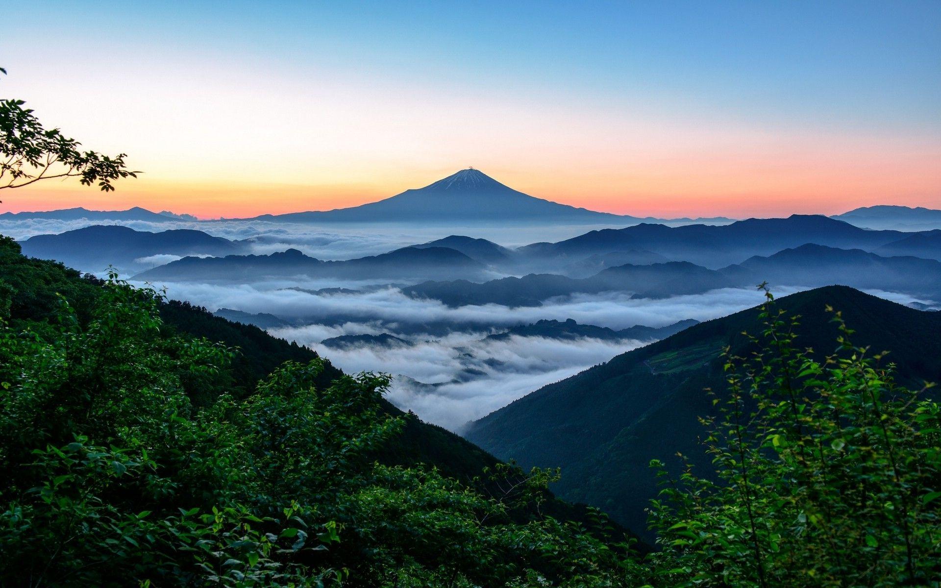 1920x1200 nature, Landscape, Mount Fuji, Japan, Sunrise, Forest, Mountain, Mist Wallpaper HD / Desktop and Mobile Background