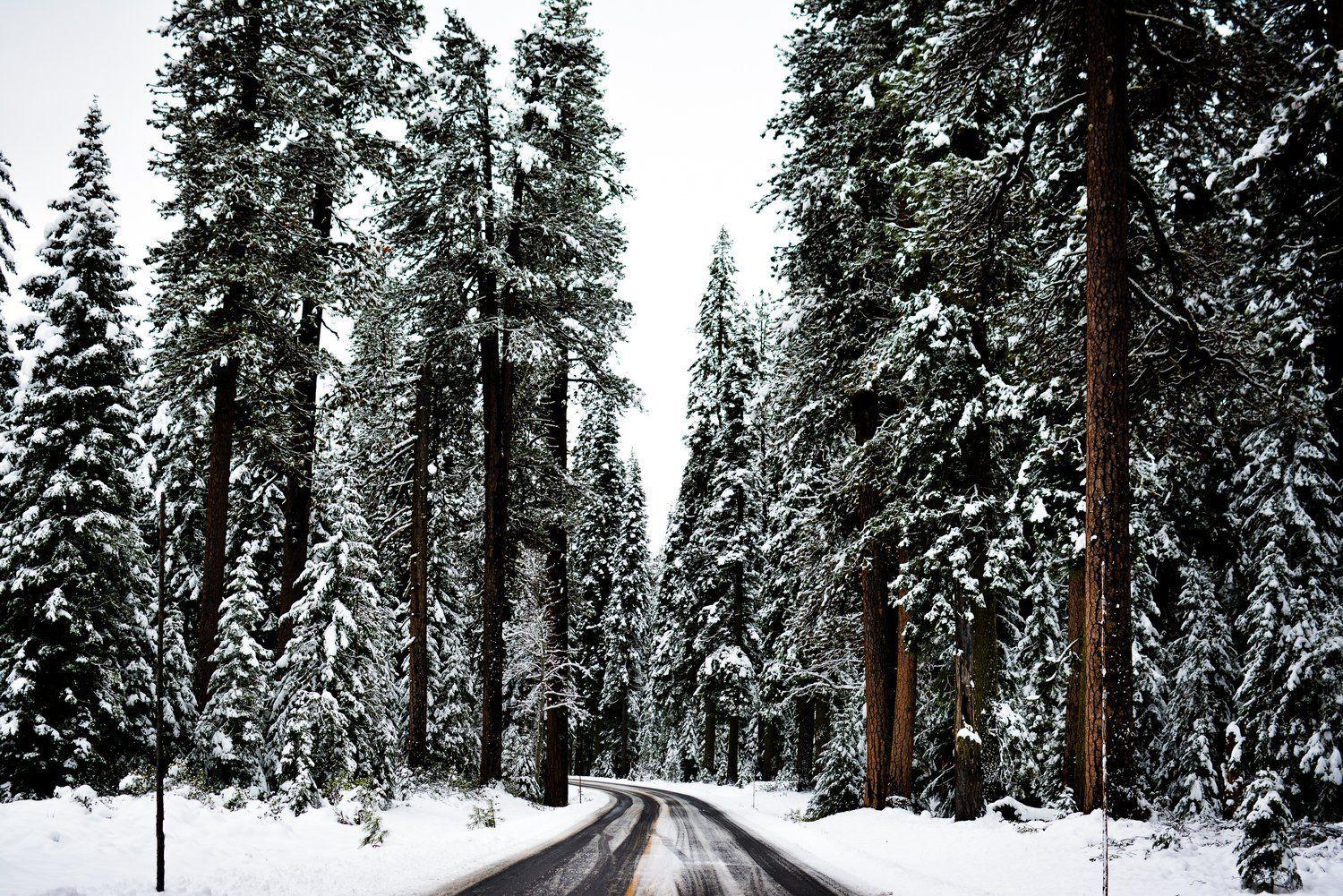 1500x1001 How To Make Christmas Cozy. Handy Little Me. Christmas desktop wallpaper, Winter wallpaper desktop, Aesthetic desktop wallpaper