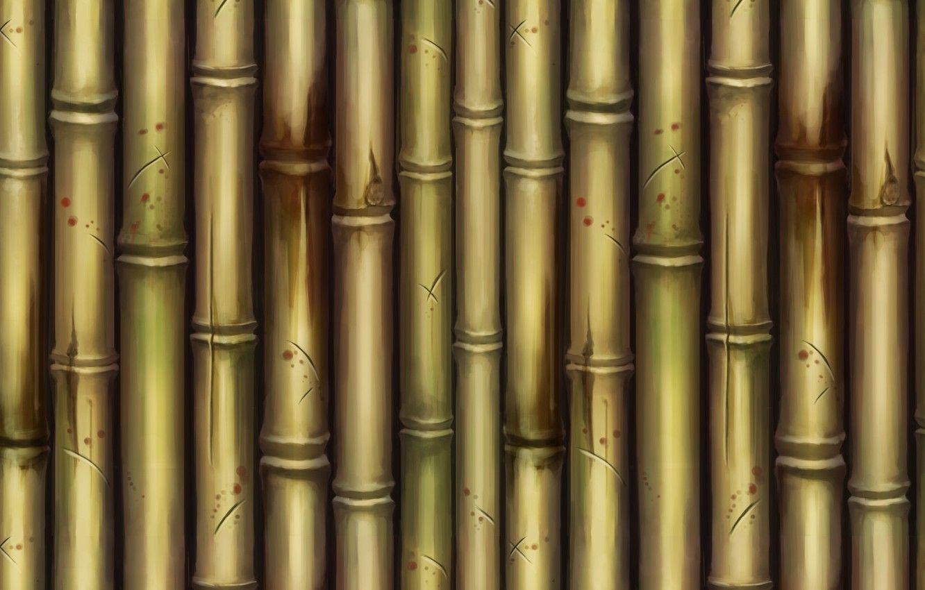 1332x850 Wallpaper texture, bamboo, art, Bamboo, Dan Khanh Tran image for desktop, section текстуры