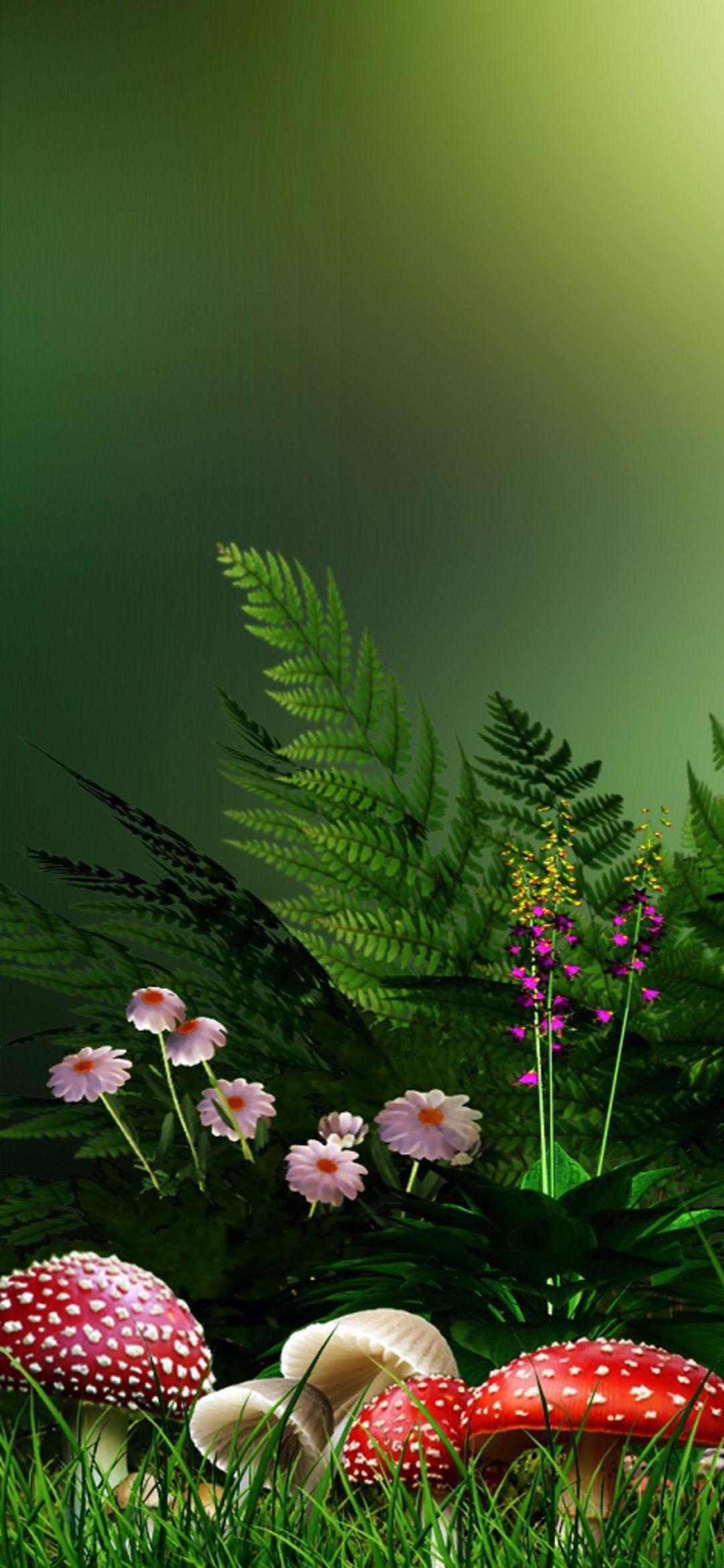 1080x2340 Flower HD Phone Wallpaper 029