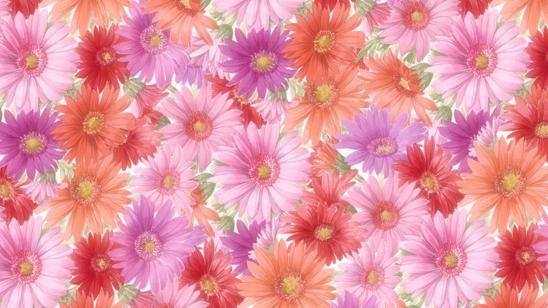1920x1080 High Definition HD Wallpaper Of Flowers
