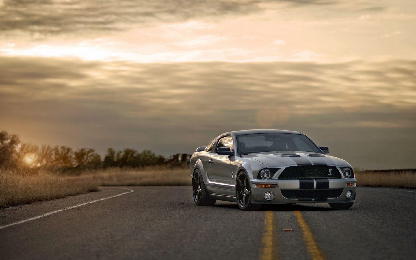 1440x900 Download wallpaper 1440x900 ford, mustang, shelby, silver, muscle car, road, sunset widescreen 16:10 HD background