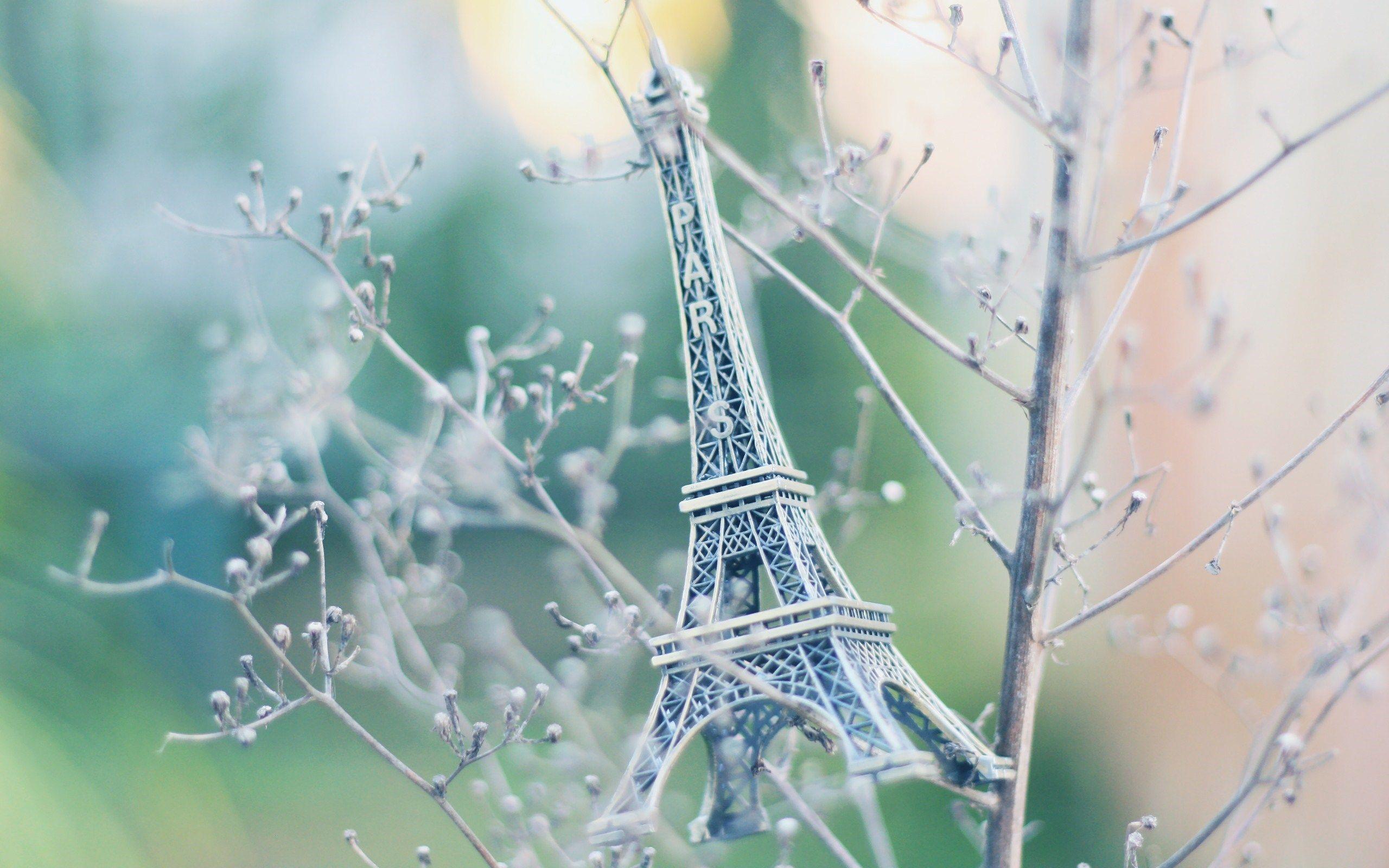 Ảnh về tháp Eiffel ở chi nhánh 2560x1600