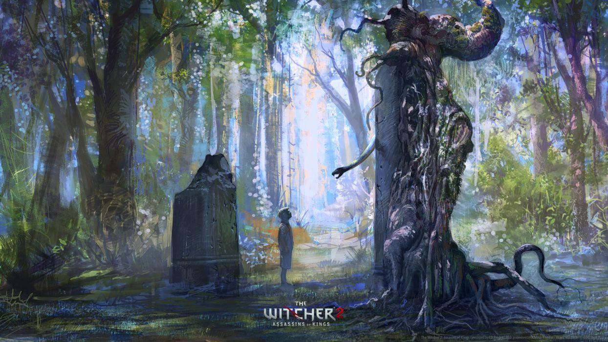 Hình nền 1244x700 The Witcher Drawing Forest.  1920x1080