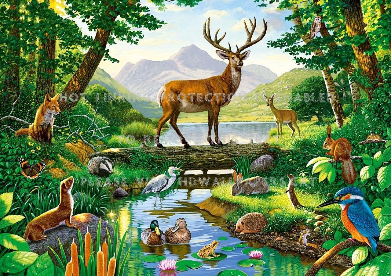 1280x905 Chim Big Buck Động vật hoang dã Động vật Hươu - Bản vẽ rừng với động vật - Hình nền 1280x905