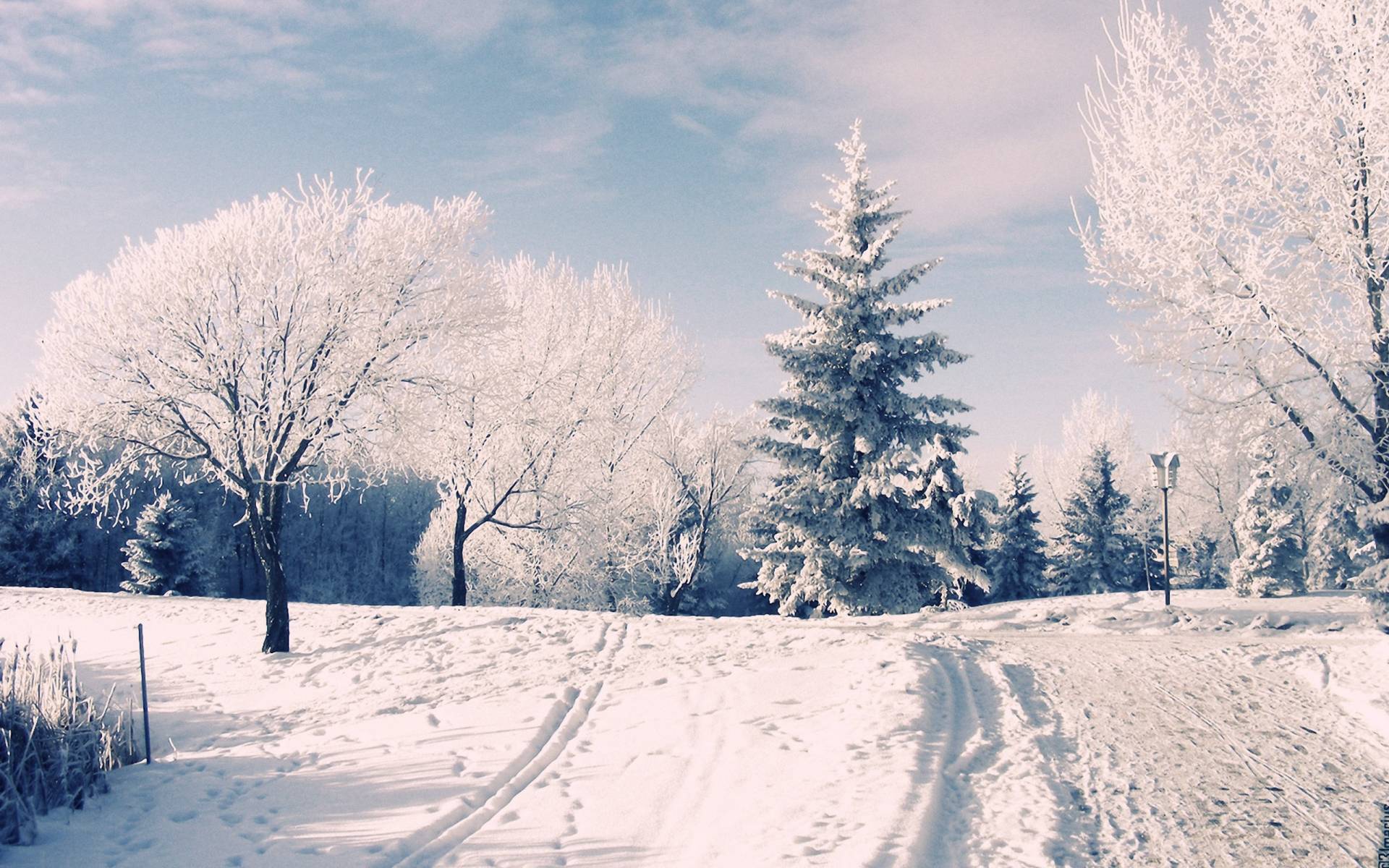 1920x1200 Winter Wallpaper Pinterest Laptop