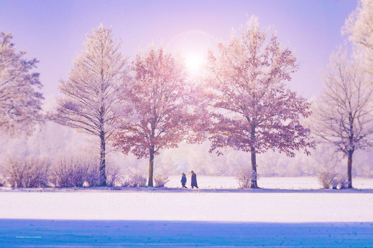 1200x799 Winter Wallpaper: 30 Awesome Image For The Cold Season