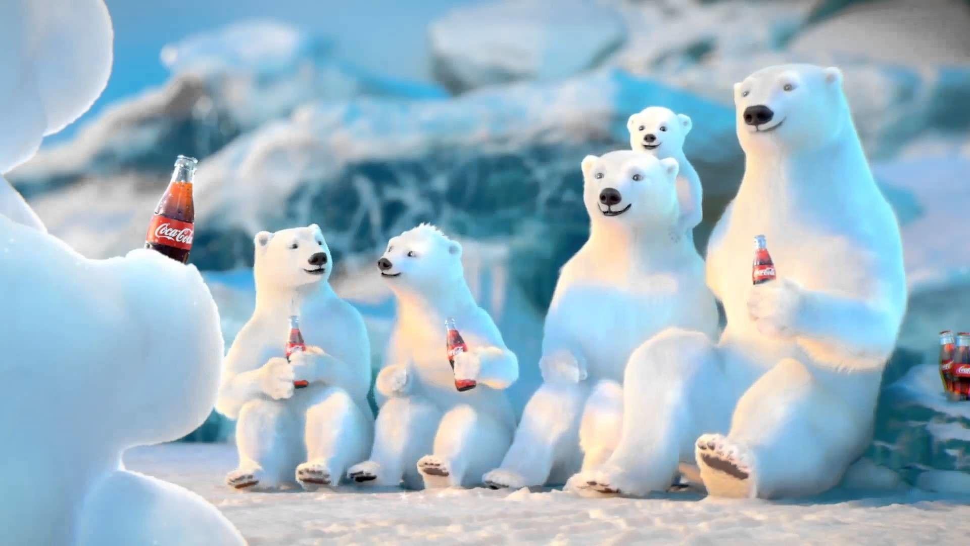 1920x1080 Baby Polar Bear Wallpaper