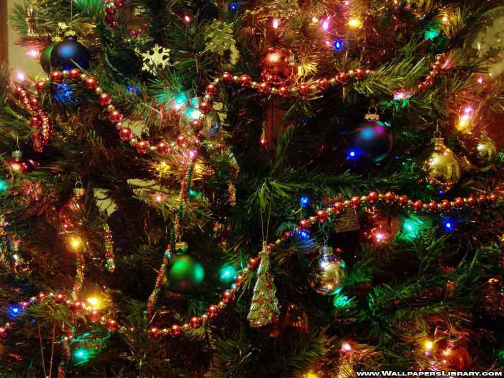 1024x768 Wallpaper, Photo, Picture, Photography: The History of Christmas Trees