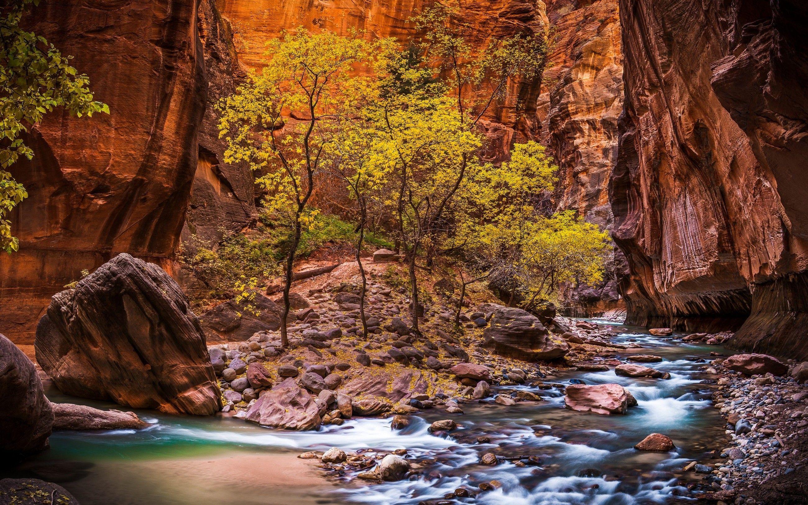 2600x1625 landscape, Nature, Zion National Park, River, Canyon, Utah, Trees, Erosion, Red, USA, National Park, Stones, Pebble. National parks, Zion national park, Landscape
