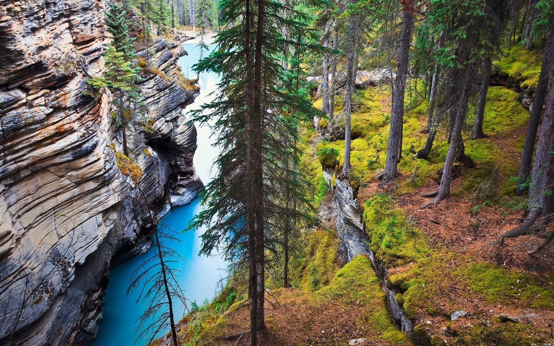 1920x1200 Download HD Wallpaper Of 213170 Nature, Landscape, River, Canada, Forest, Grass, Trees, Cliff, Rock, Water, Erosion, Alberta. Free Do. Nature, Landscape, Erosion
