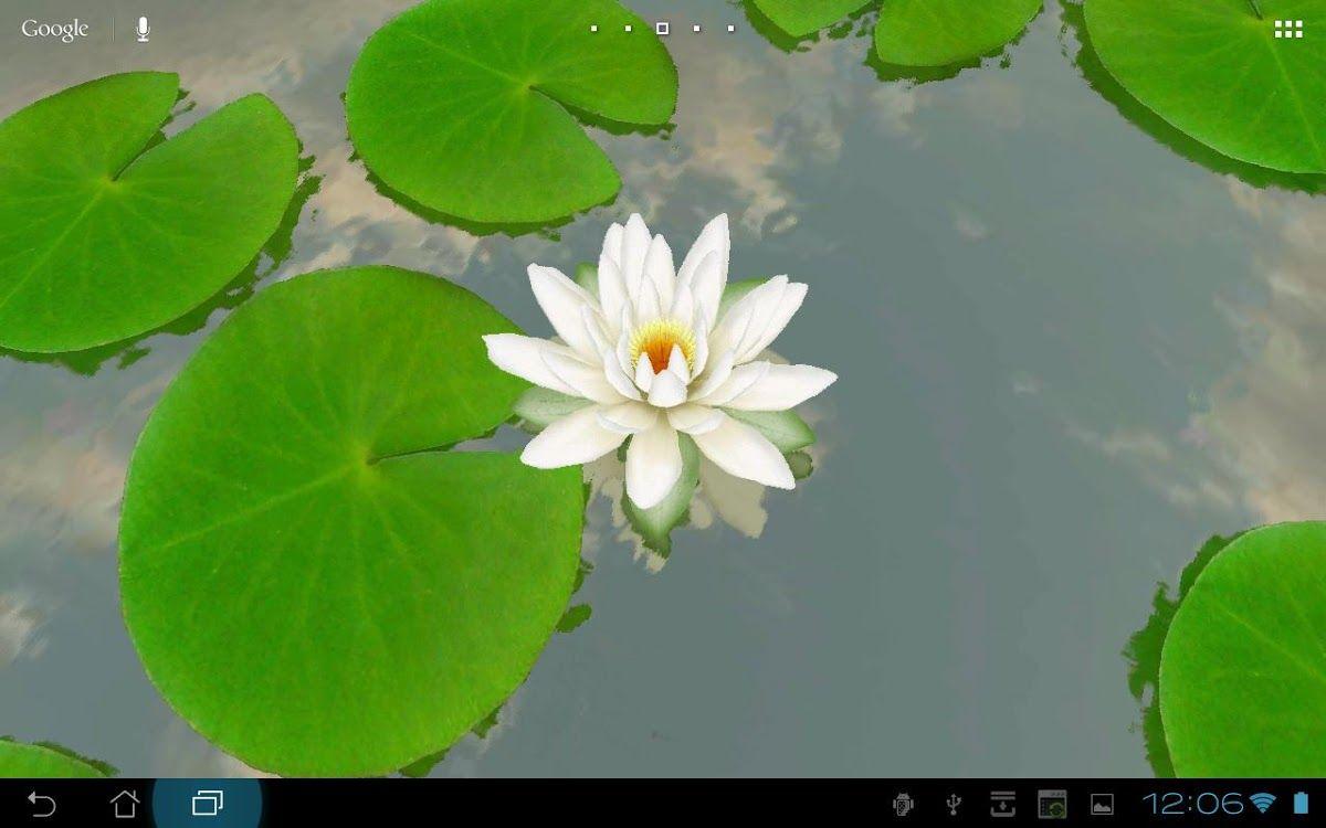 1200x750 3D Lotus Pond Live Wallpaper Free