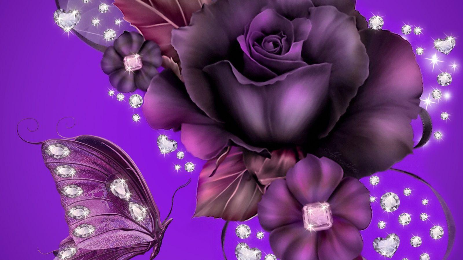 1600x900 Purple Rose Desktop Background Wallpaper 1600x900