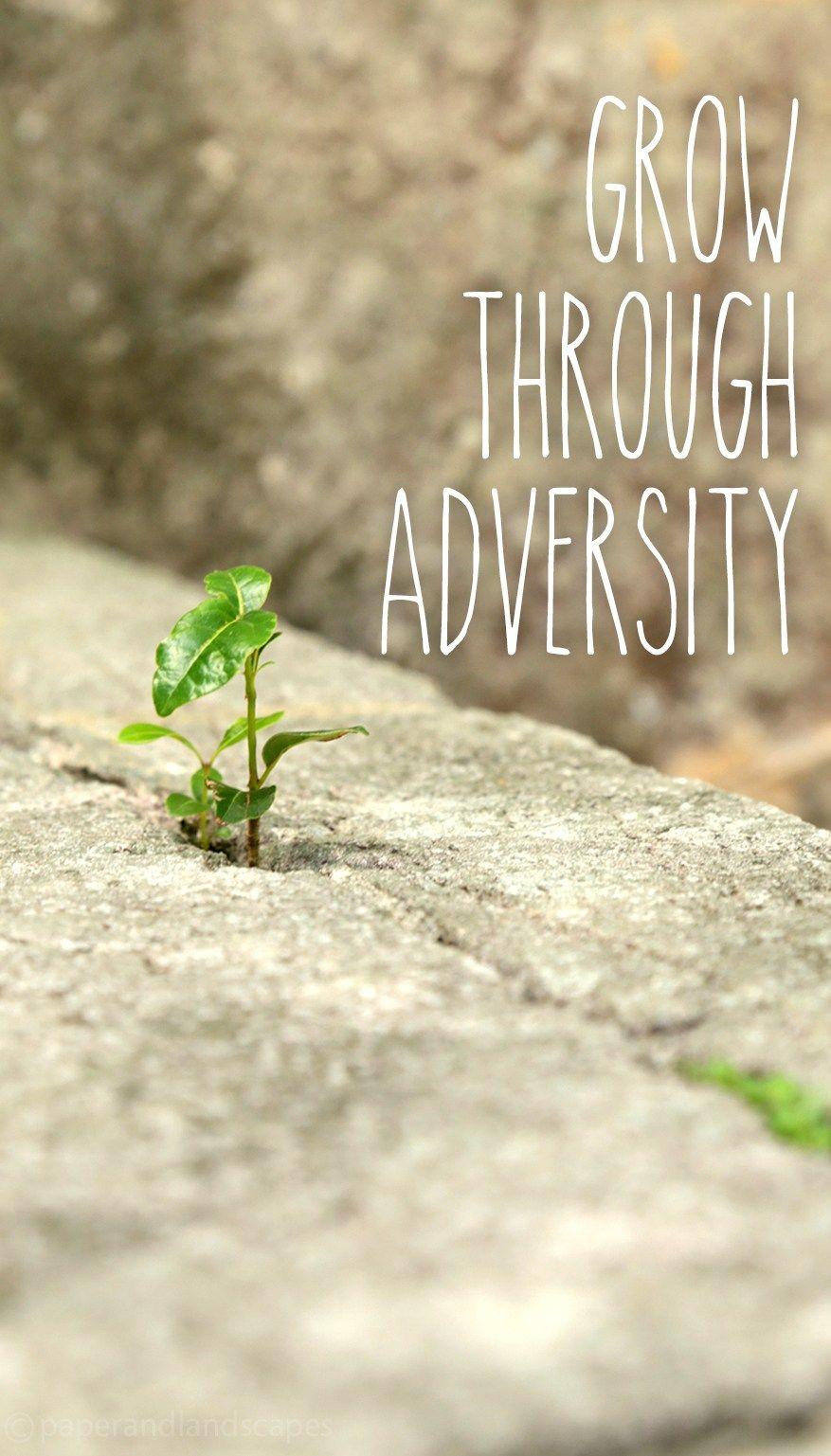 877x1537 Happy & Positive Wallpaper for your Smartphone and Landscapes