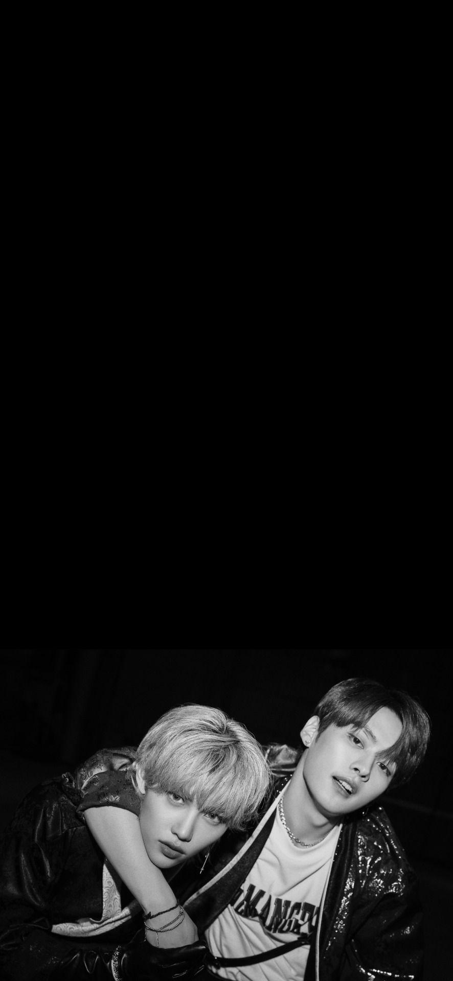 886x1920 metalane