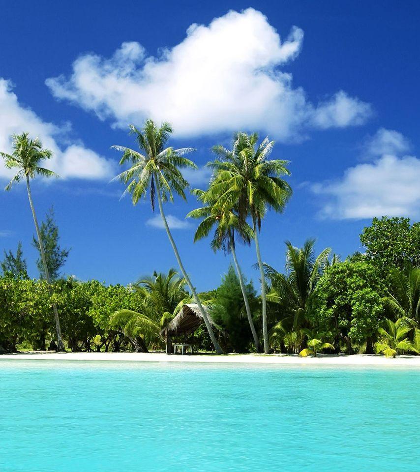 854x960 Awesome noon on tropical beach wallpaper Beach Wallpaper. Huge Free Wallpaper Download