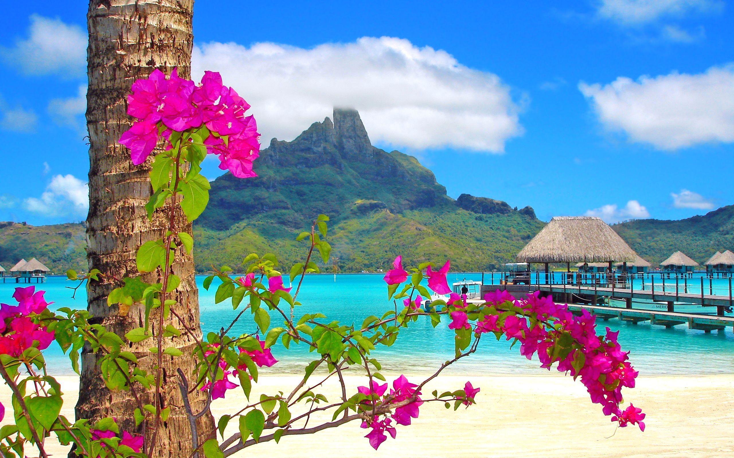 2560x1600 Awesome Beach High Resolution Wallpaper Download Beach Image Free