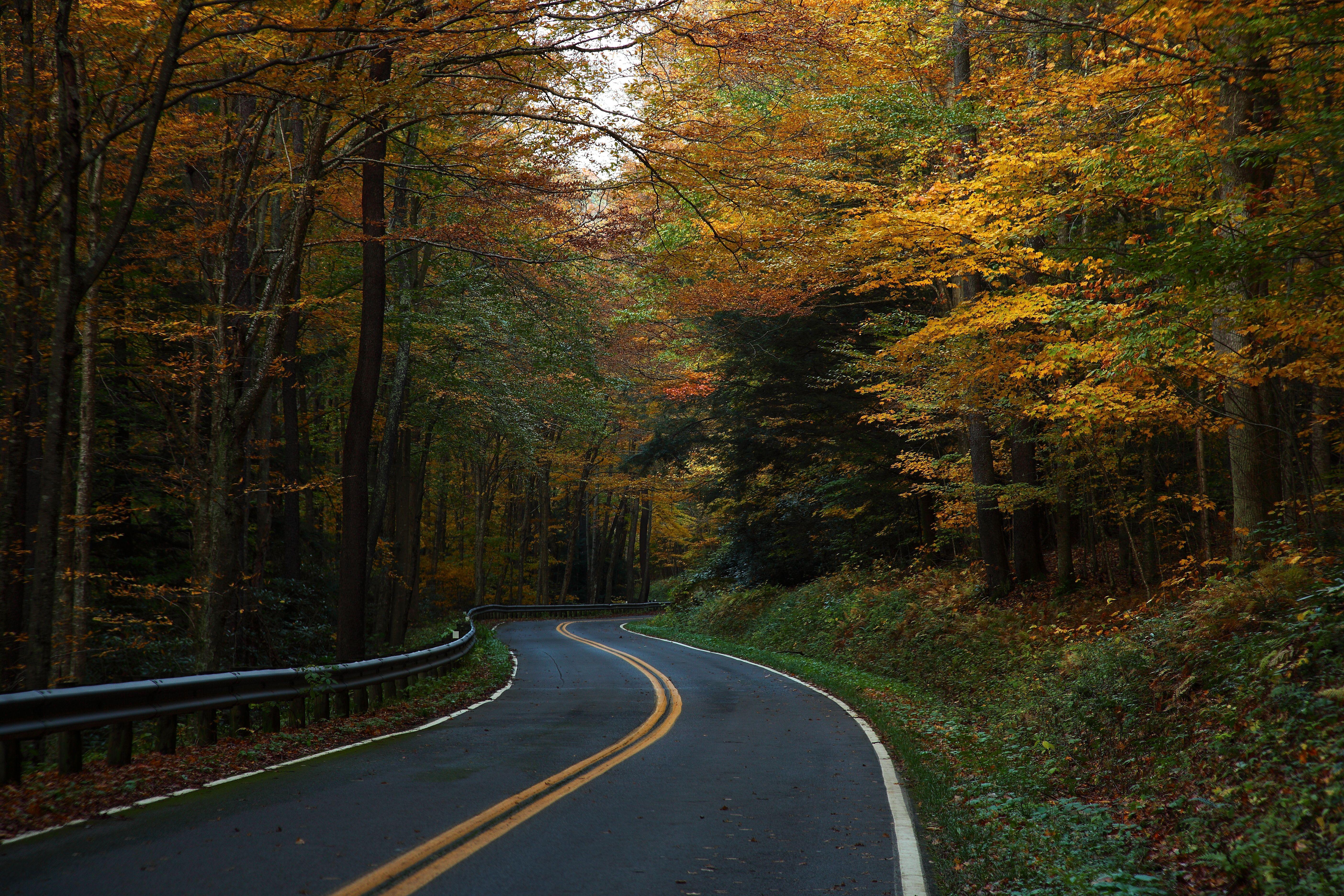 5616x3744 West Virginia Winding Autumn Trees Country Road Of West Virginia