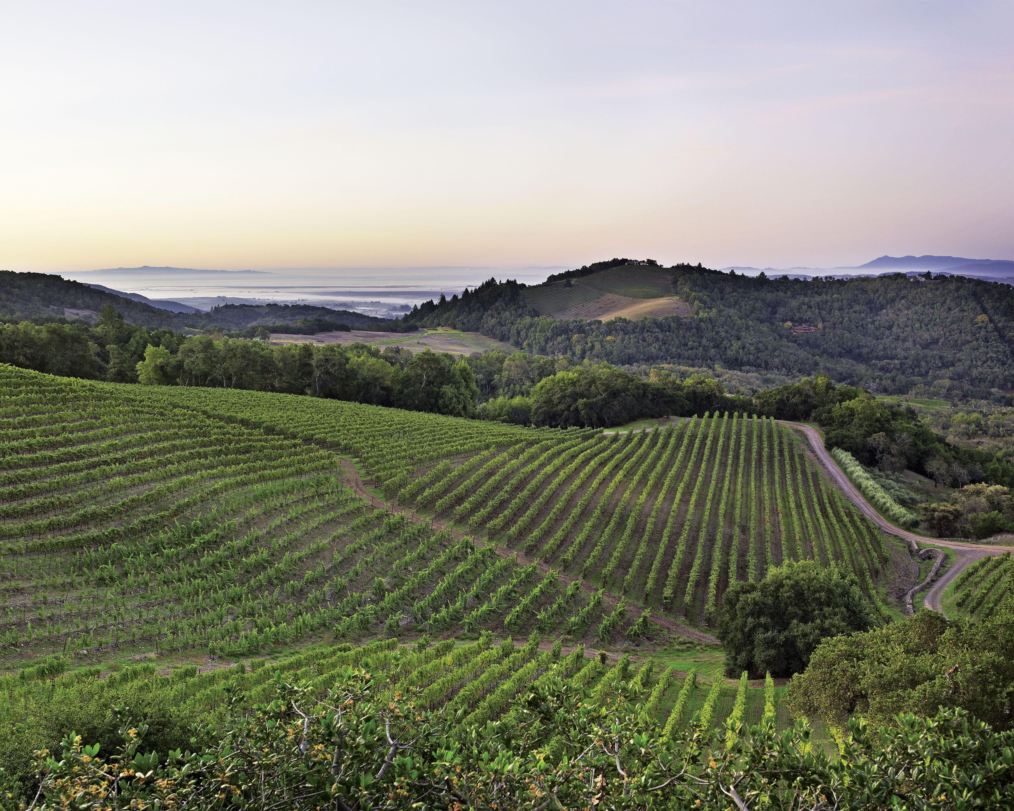 3500x2800 Free download California Wine Country HD Walls Find Wallpaper [3500x2800] for your Desktop, Mobile & Tablet. Explore California Wineries Wallpaper. California Wineries Wallpaper, California Beaches Wallpaper, California Angels Wallpaper