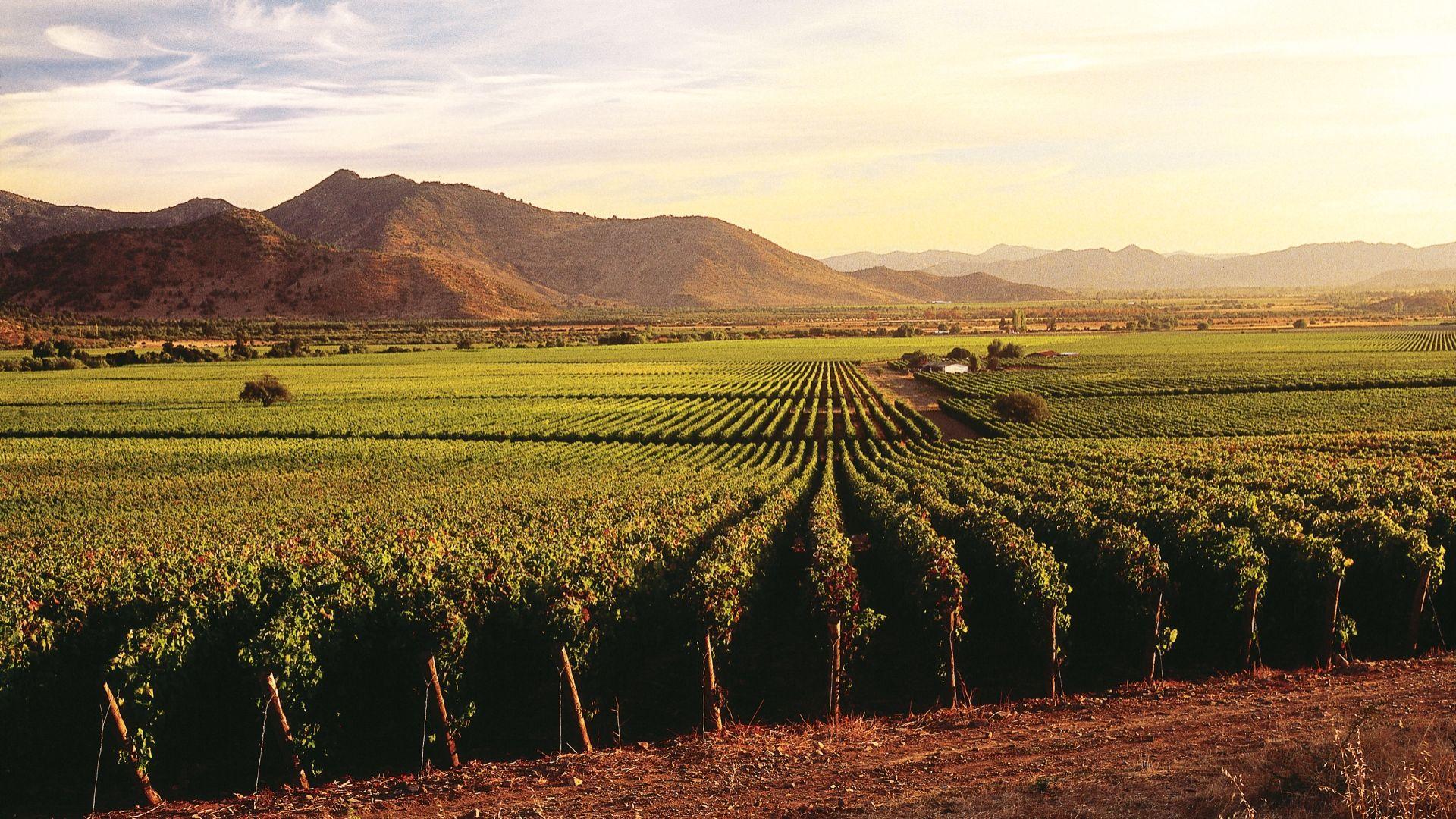 Wine Country Wallpapers - Top Free Wine Country Backgrounds ...