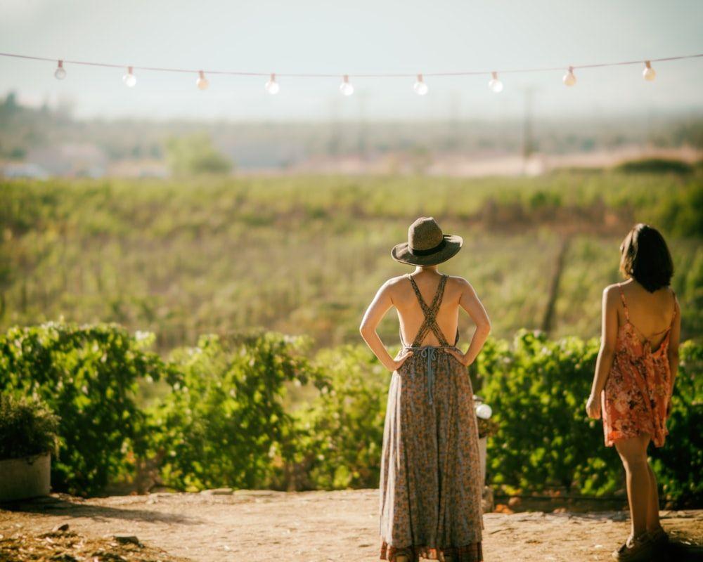 1000x800 Wine Country Picture. Download Free Image