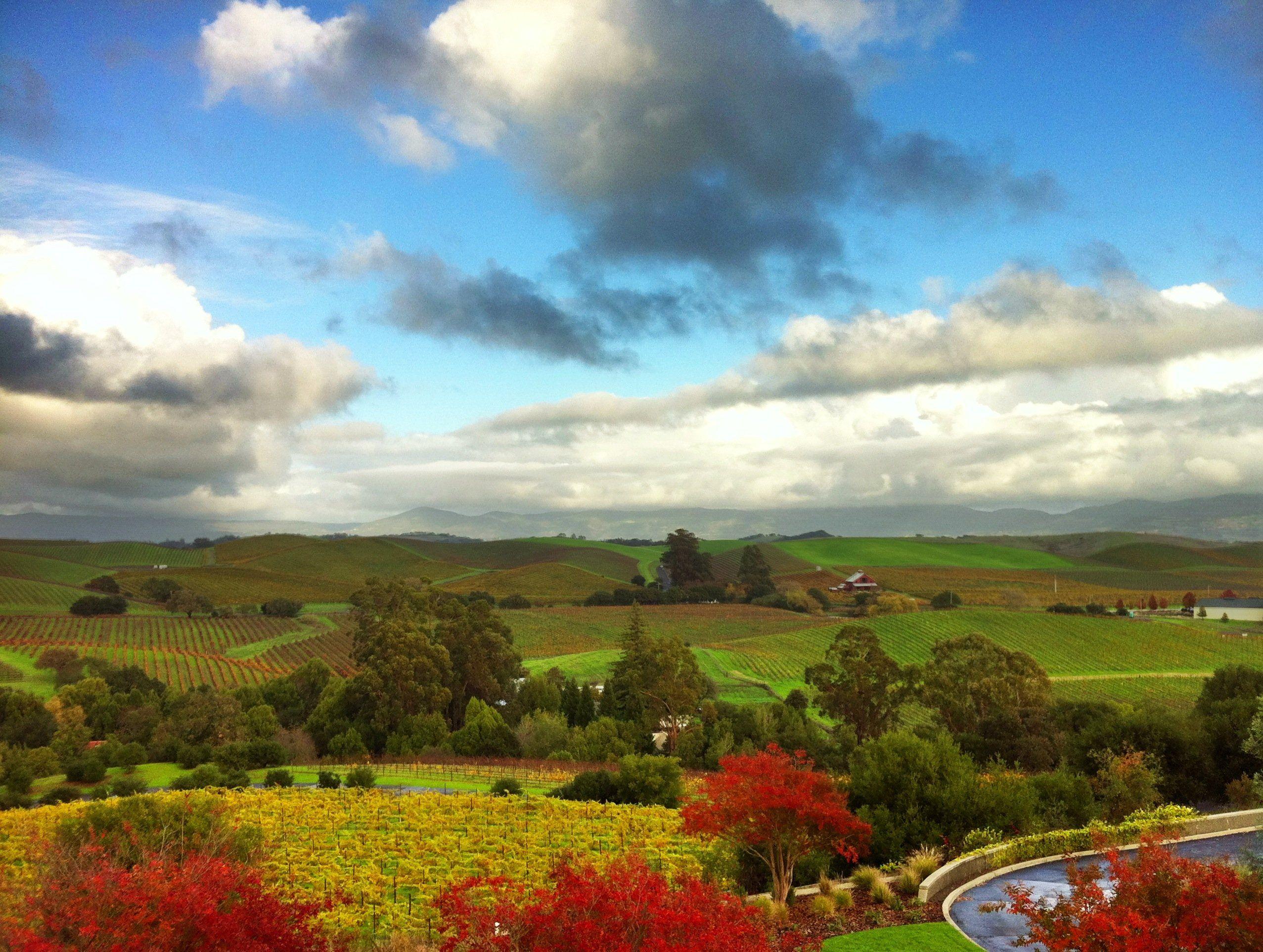 Wine Country Wallpapers Top Free Wine Country Backgrounds