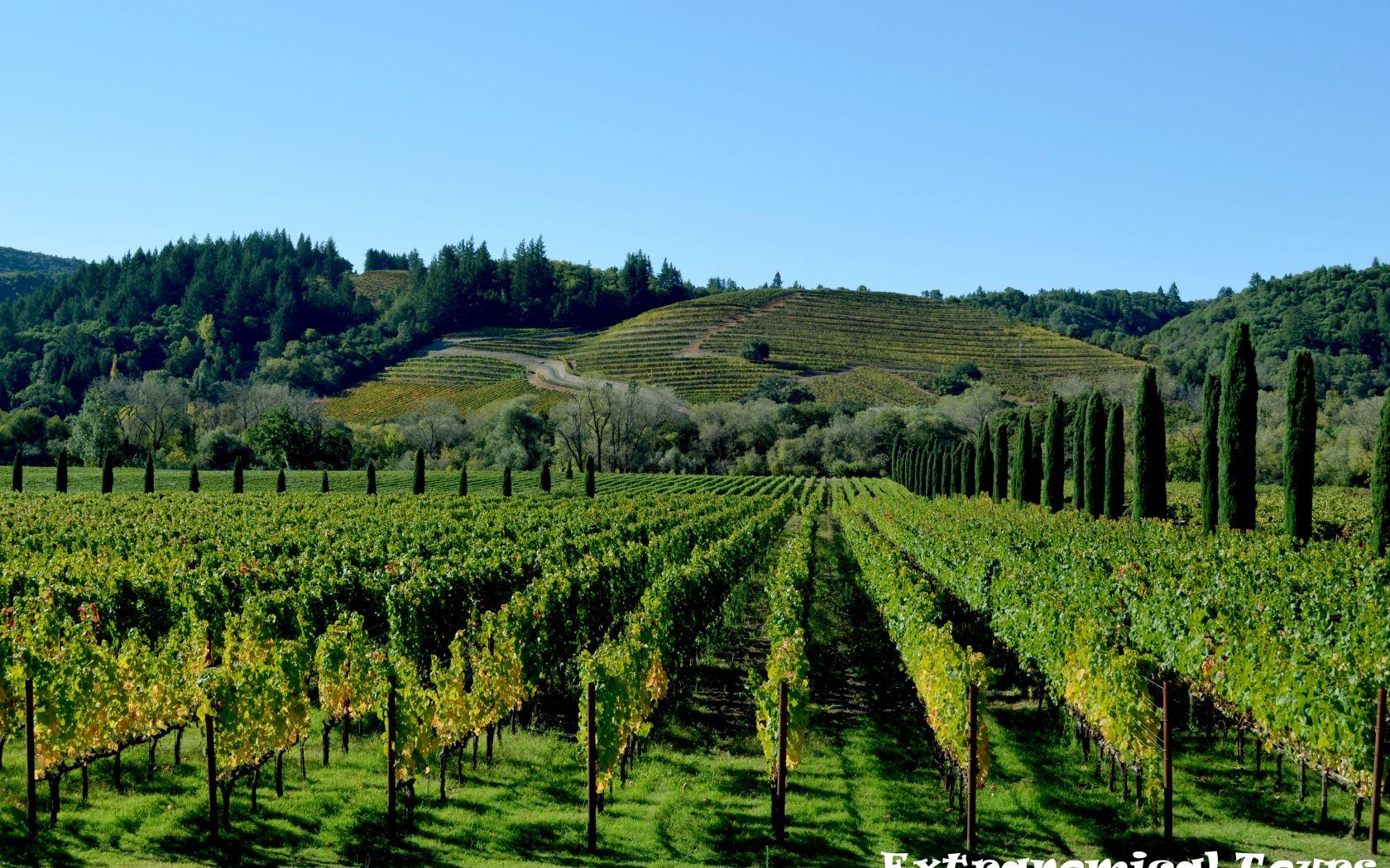 Wine Country Wallpapers - Top Free Wine Country Backgrounds ...