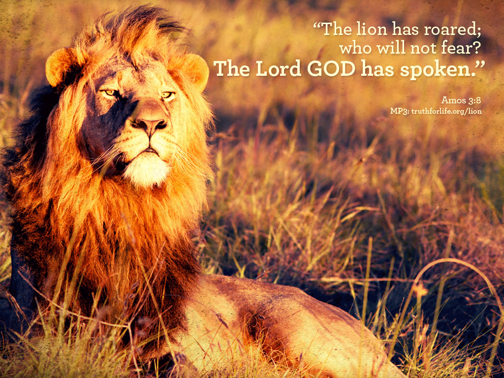 1024x768 Bible Quotes From The Lion. QuotesGram