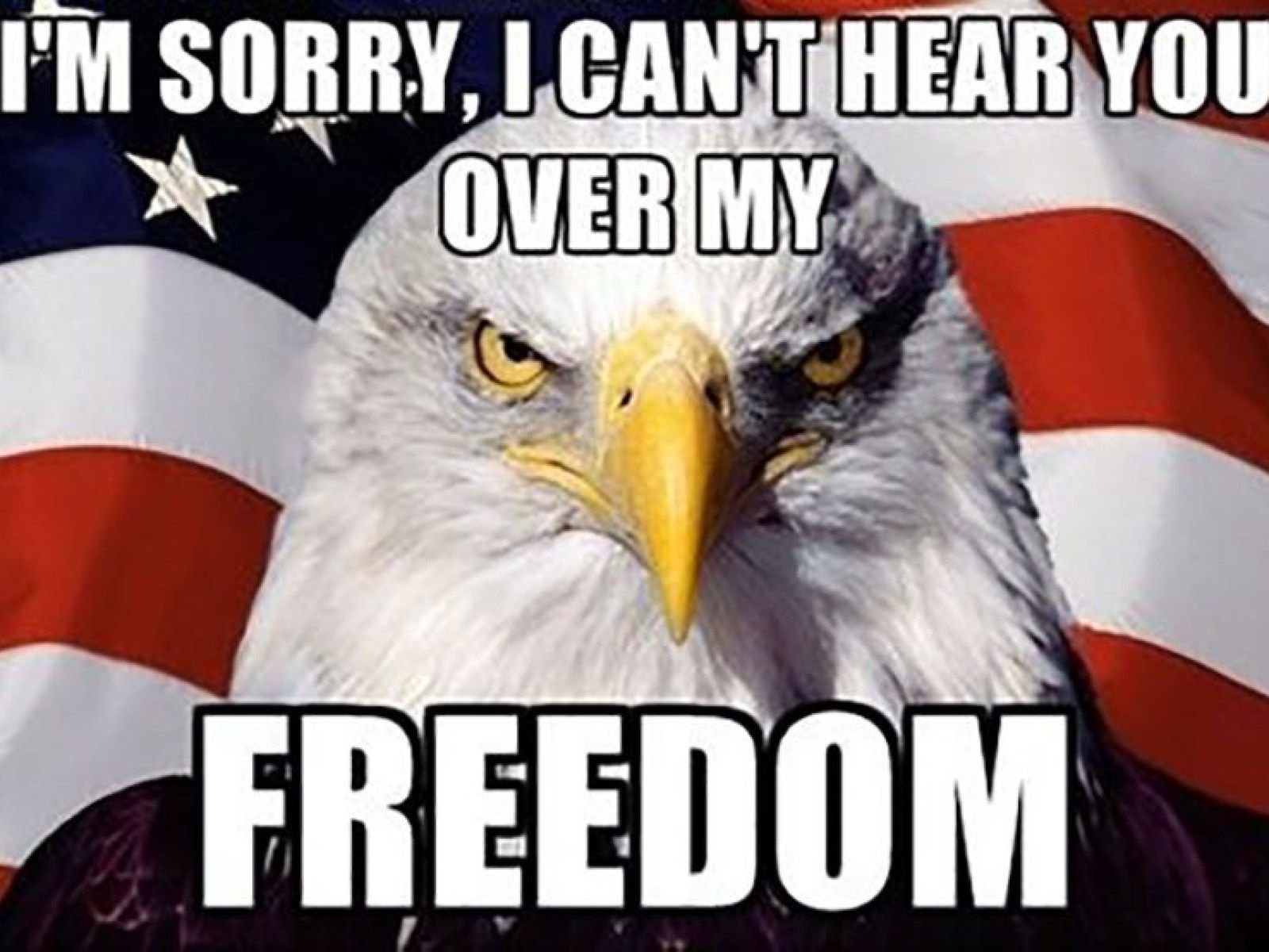 1600x1200 4th Of July Memes: Best Independence Day Memes To Celebrate America's Birthday!