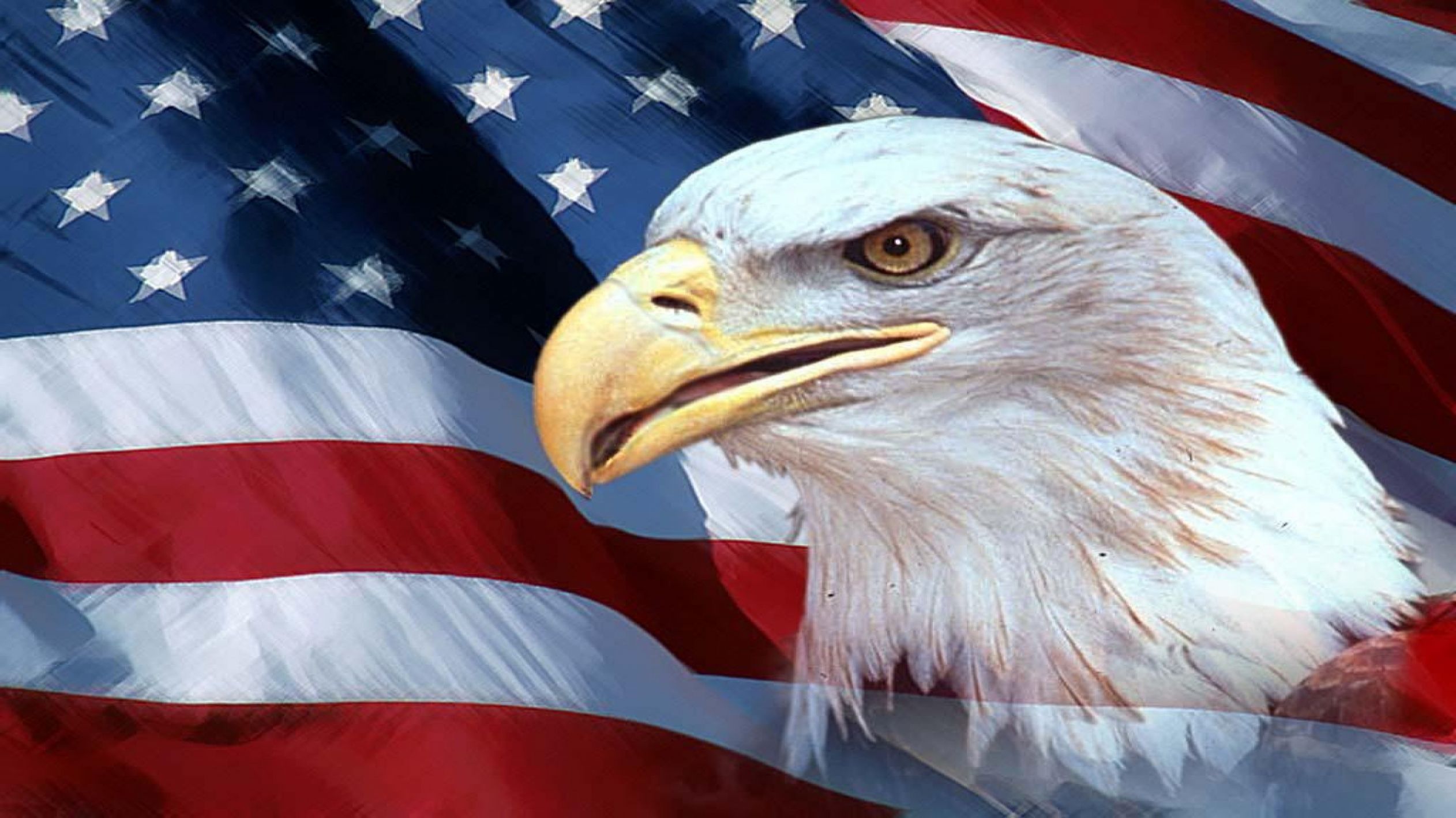 2524x1419 American Flag Blank Template