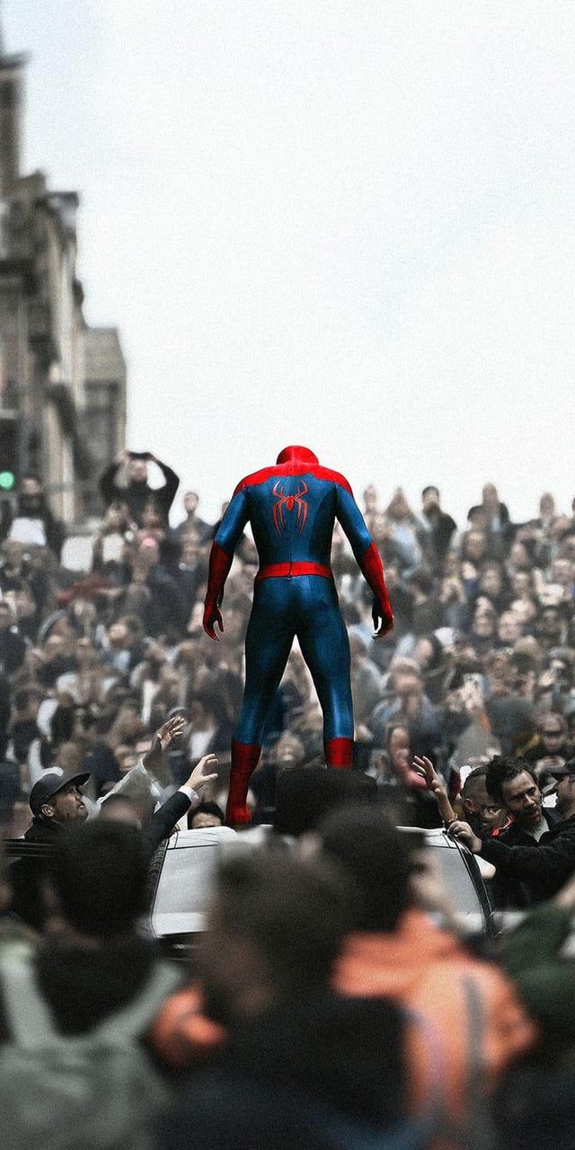 640x1280 Spider Man: BND Wallpaper