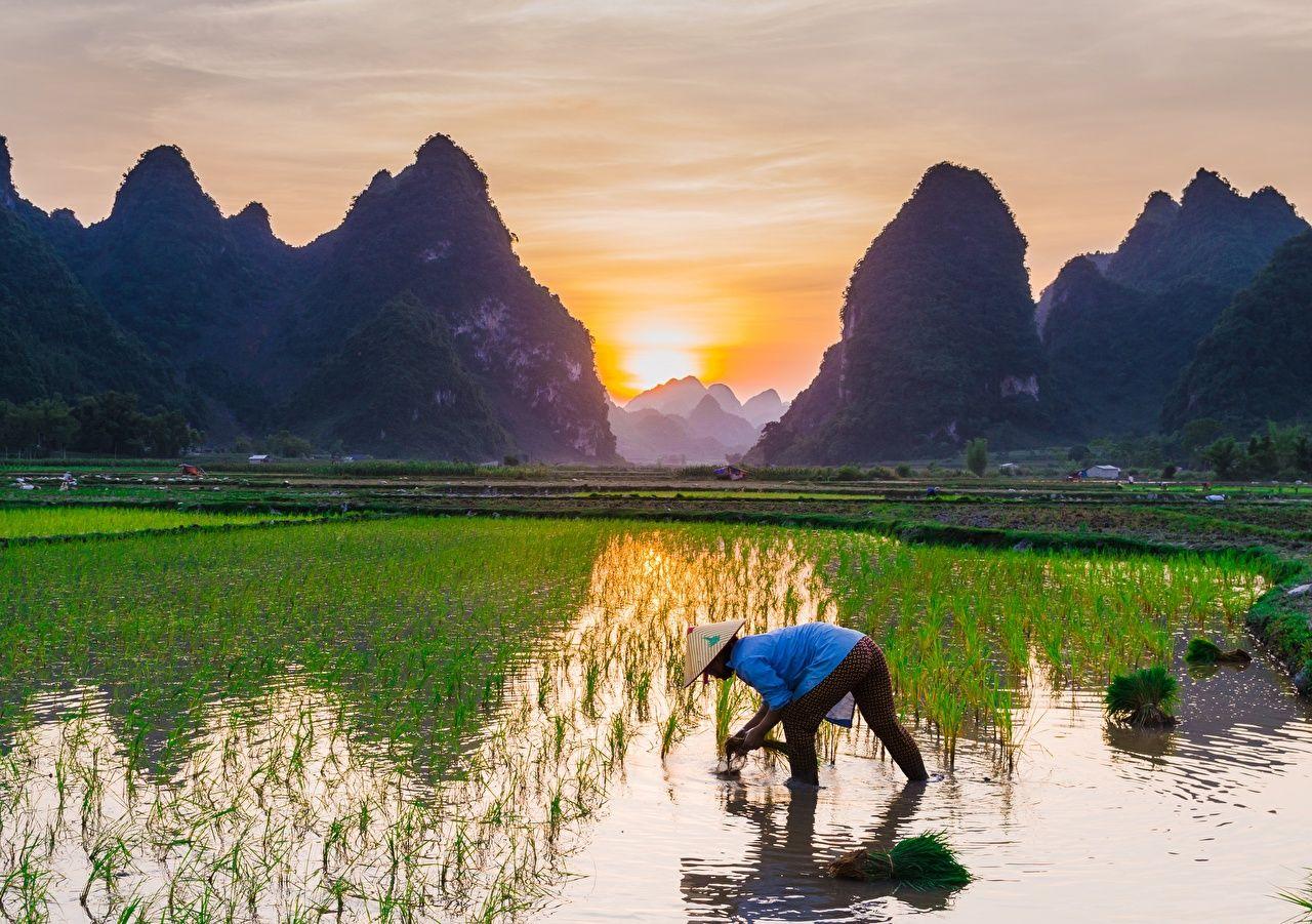 1280x901 image Work Hat Nature Mountains Asian Fields Sunrises and sunsets