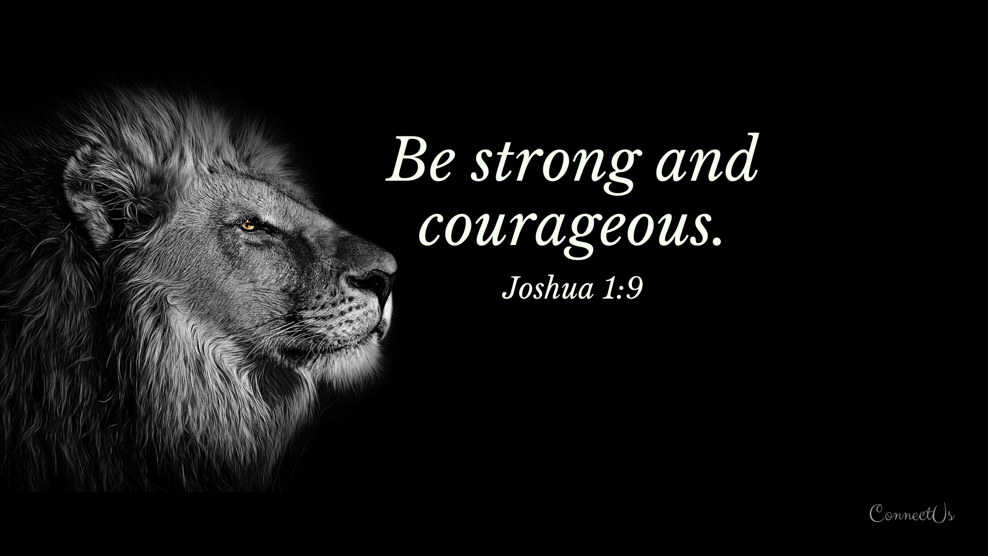 Lion Motivation Bible Wallpapers - Top Free Lion Motivation Bible